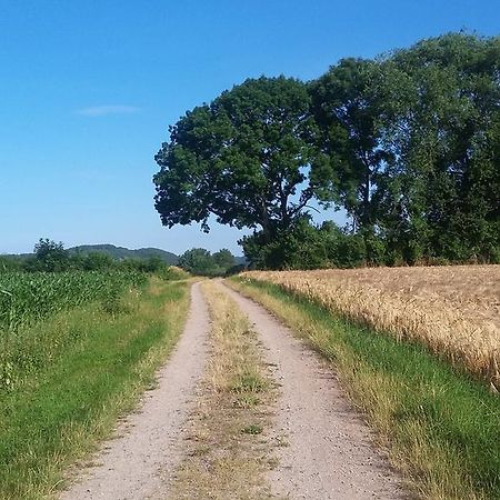 Landgasthof Zur Untermuehle Datterode 外观 照片