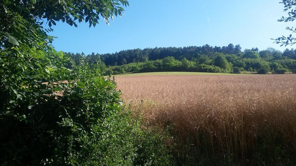 Landgasthof Zur Untermuehle Datterode 外观 照片