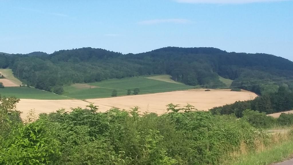 Landgasthof Zur Untermuehle Datterode 外观 照片