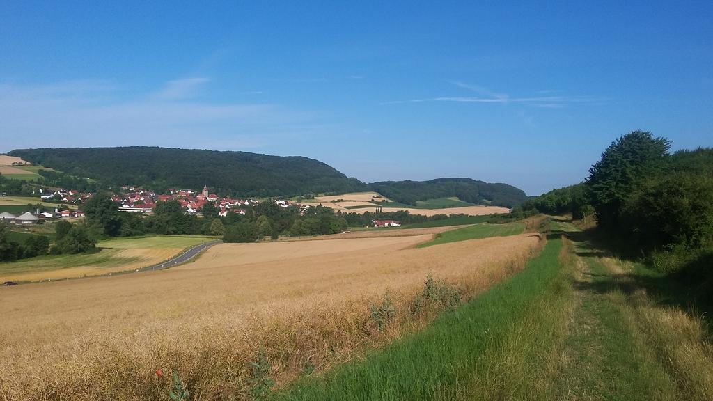 Landgasthof Zur Untermuehle Datterode 外观 照片