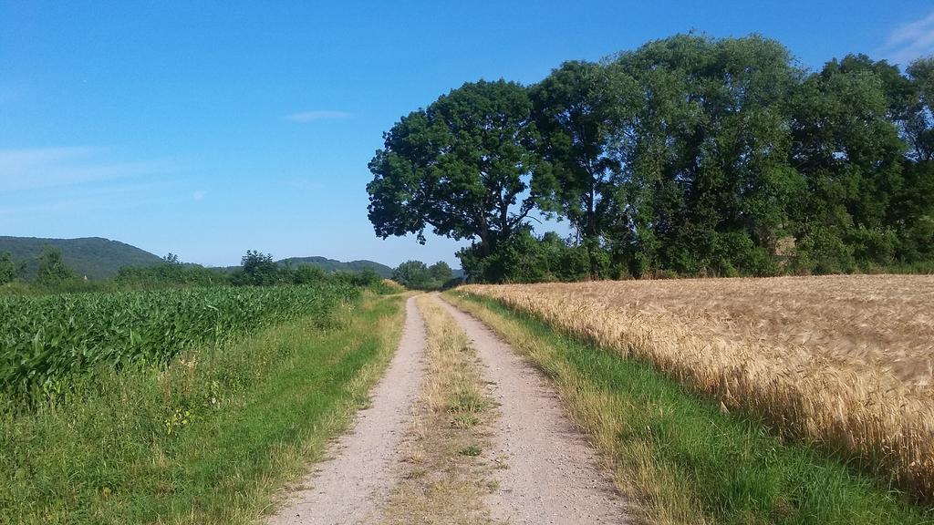 Landgasthof Zur Untermuehle Datterode 外观 照片